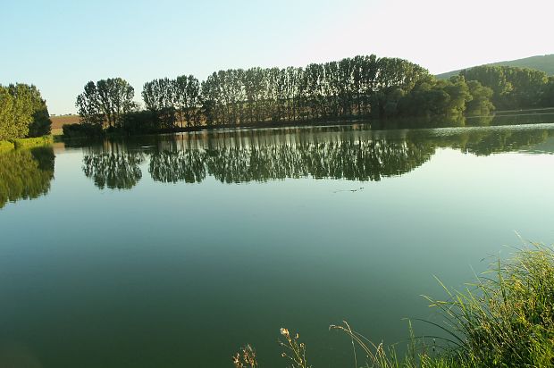 kolíňanský rybník