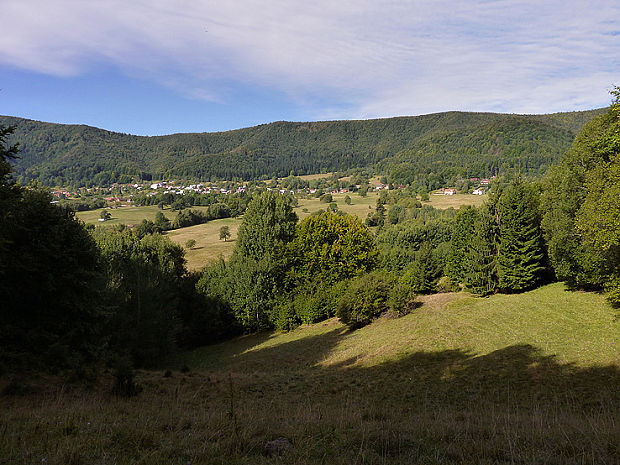 Kordíky