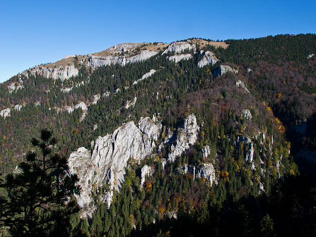 Tlstá (1 373)