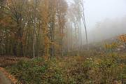 les jesenný