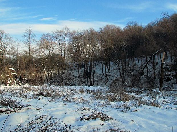 Zima pri rieke Ipeľ.