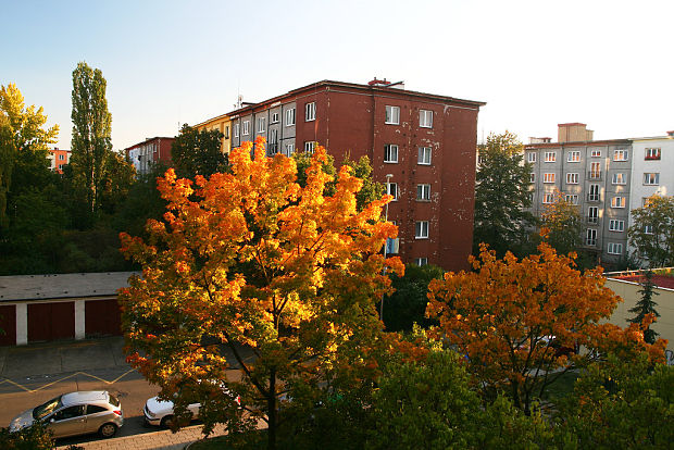 podzim na pražském sídlišti