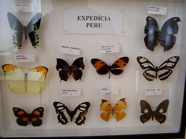 expedícia Peru