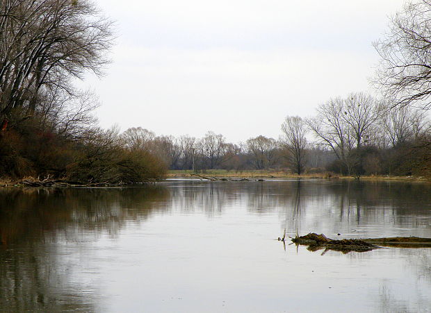 Malý Dunaj