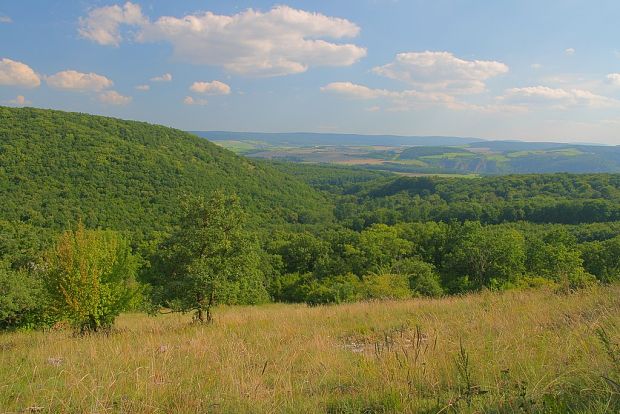 karlštejnsko