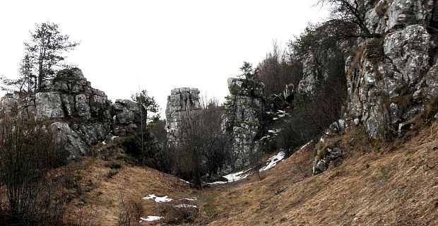Dreveník