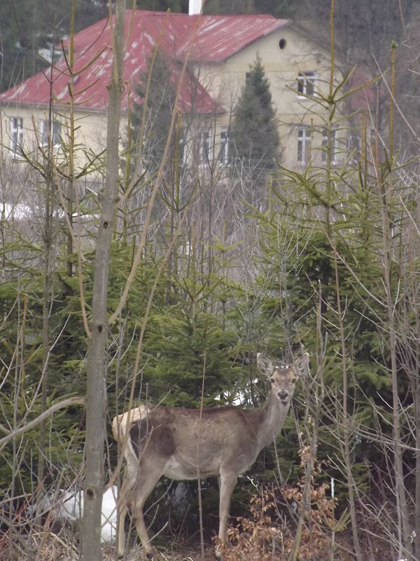 materská škola u nás :-)