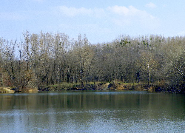 Malý Draždiak