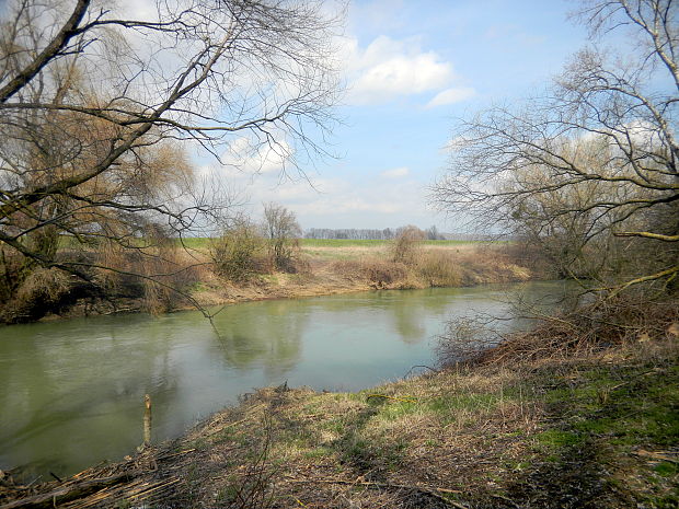 Rieka Laborec