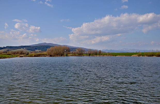 Mokrade pri obci Koš
