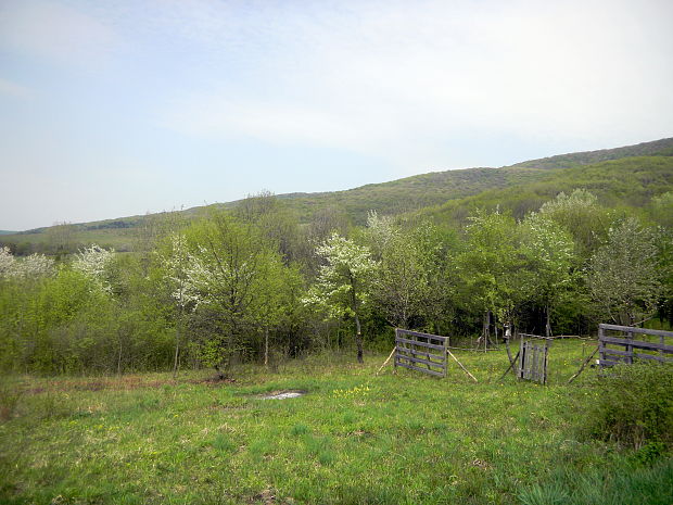 Lesy nad obcou Staré