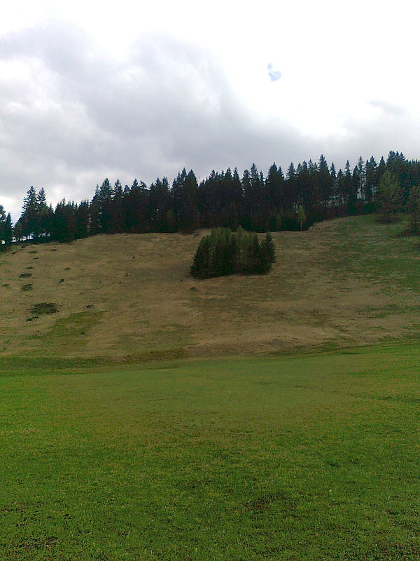 Pod Nižnou