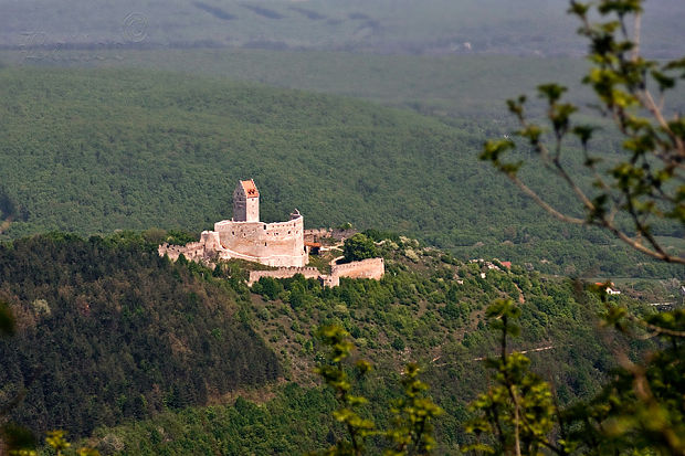 Topoľčiansky hrad