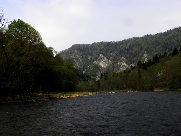 Dunajec 1