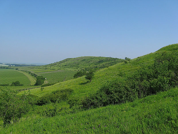 NPP Dunajovické kopce