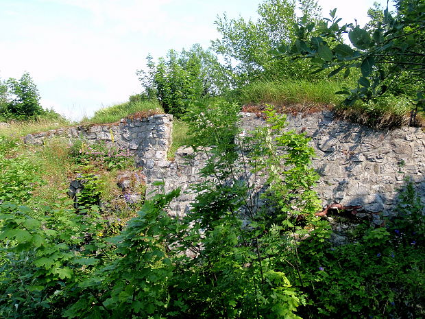 Ruiny hradu Liptov