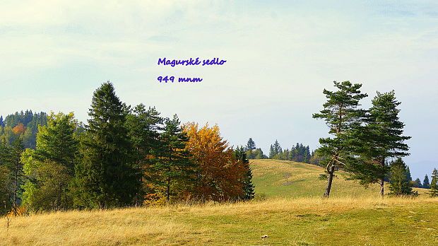 Magurské sedlo ( 949 mnm)