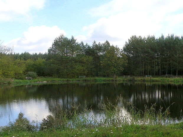 Oáza ticha pri rybníku