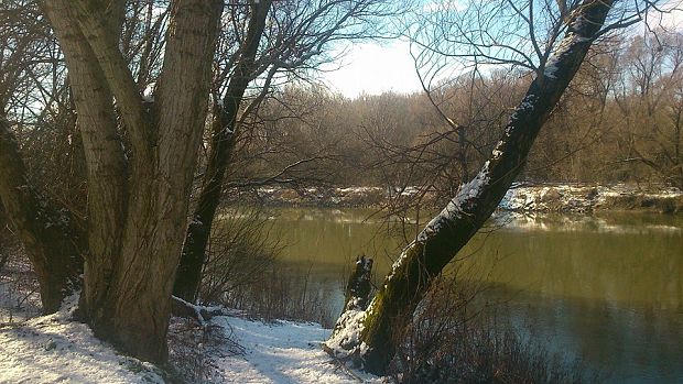 rieka Morava