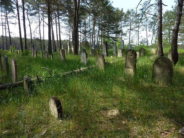 záhorie Židovský cintorín