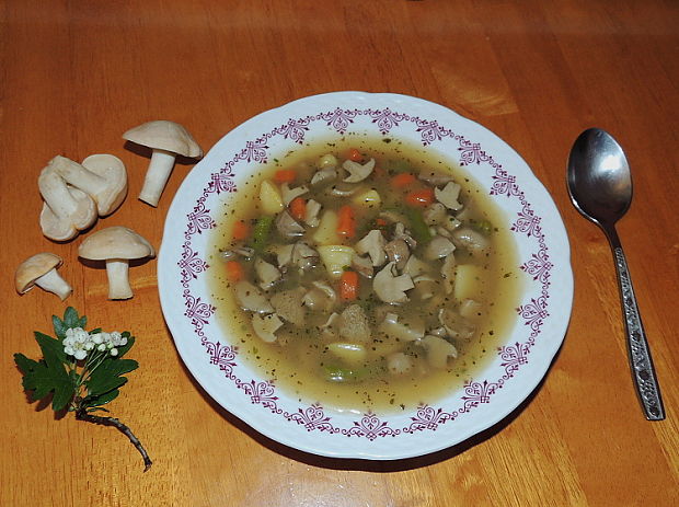 jarní zeleninová polévka s májovkou