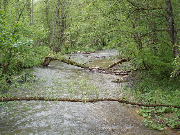 Rieka Ľubochnianka