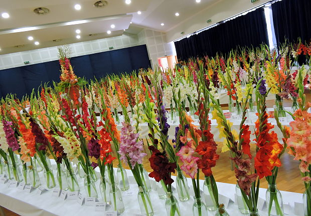 Medzinárodná výstava gladiol, dálií a orchideí