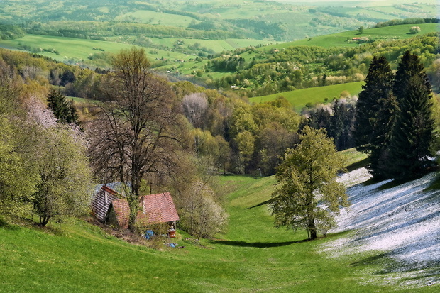 Bílé Karpaty - Lopeník údolí