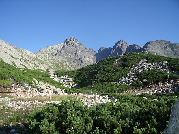 Východné úbočie južného  výbežku Lomnického hrebeňa