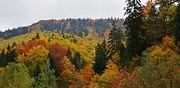 slovenský raj,jeseň