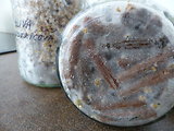 drevené kolíčky naočkované myceliom hlivy
