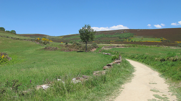 cesta kopcami medzi Kastíliou-León a Galíciou Natura