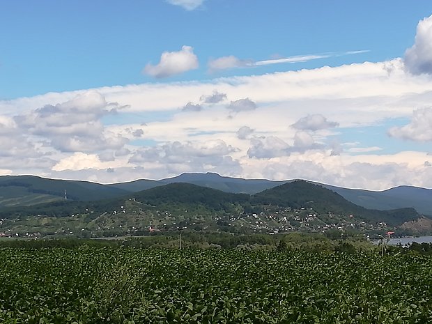 Zemplínska Šírava - Lúč - Hôrka, v pozadí Vihorlat
