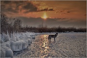 Novoveské štěrkové jezero