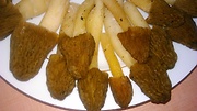 smrčkovec český