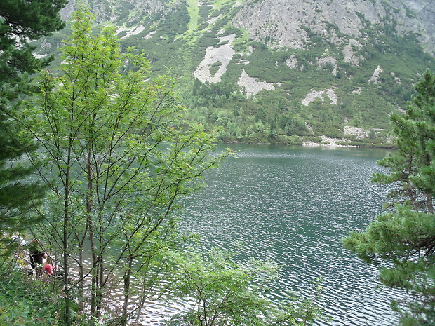 Popradské pleso