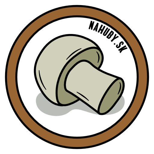Pečiarka - Nahuby.sk Logo 2020 Agaricus sp.