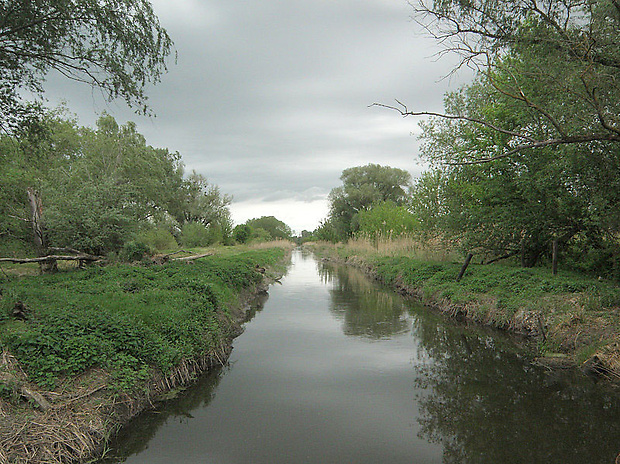 Malina  (kanalizovaná rieka)