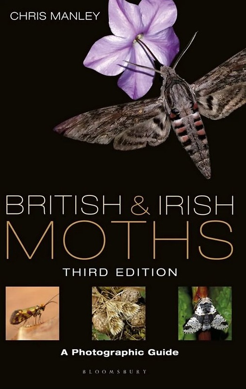 British and Irish Moths ... nová publikácia o motýľoch