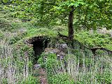 ruiny pivnice na lokalite Gabčova lúka