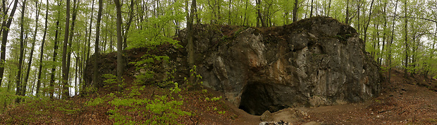 Jaskyňa Opálená skala