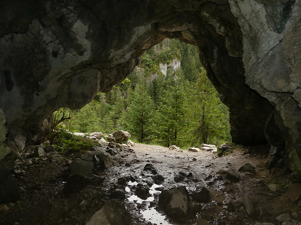Jaskyňa Oblazkowa