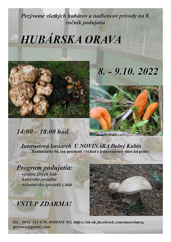 Hubárska Orava 2022 Výstava húb