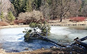 ešte zamrznutý rybník
