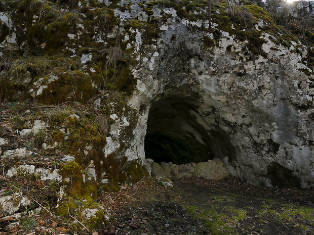 Veľká Drienčanská jaskyňa