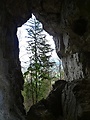 Skalné okno v Hrdošskej skale