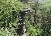 markušovský skalný hríb