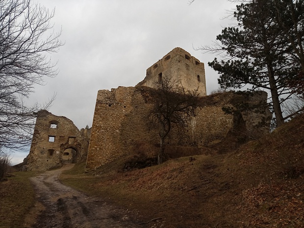 hrad Lietava