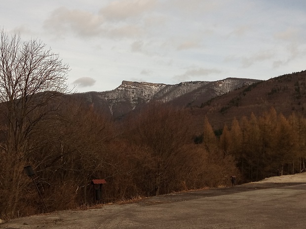 vrch Kľak 1352 m.n.m.