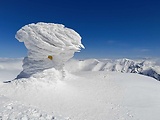 vrcholový inoväťový hríb - Baranec 2185m